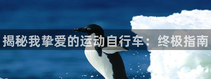 尊龙凯时平台官网|揭秘我挚爱的运动自行车:终极指南(图1) 尊龙凯时平台官网