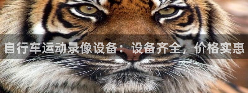 尊龙凯时平台官网|自行车运动录像设备:设备齐全,价格实惠(图1) 尊龙凯时平台官网