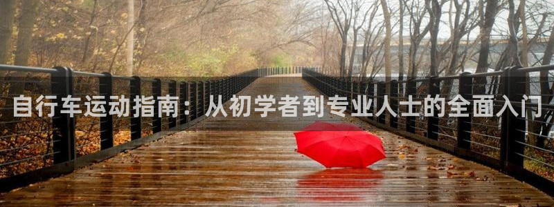 凯时尊龙官网app|自行车运动指南:从初学者到专业人士的全面入门(图1) 凯时尊龙官网app