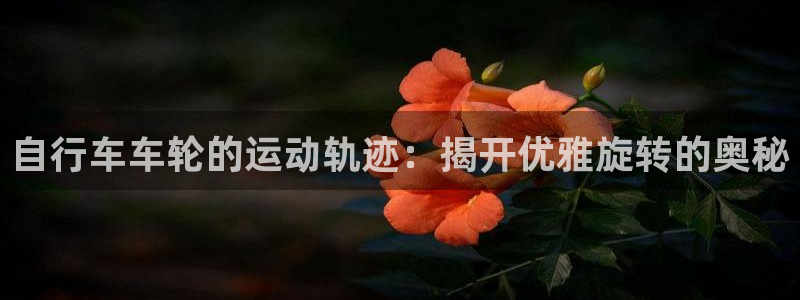 尊龙凯时的最新消息|自行车车轮的运动轨迹:揭开优雅旋转的奥秘(图1) 尊龙凯时的最新消息