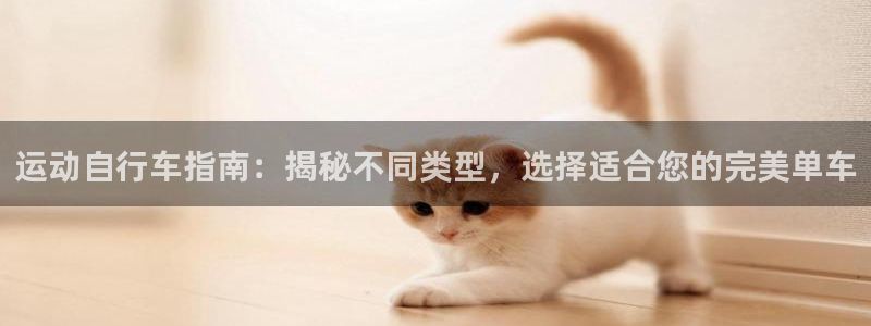 尊龙凯时 - 人生就是搏!|运动自行车指南:揭秘不同类型,选择适合您的完美单车(图1) 尊龙凯时 - 人生就是搏!