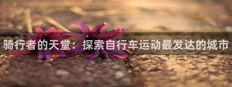 ag尊龙凯时人生就是博|骑行者的天堂:探索自行车运动最发达的城市(图1) ag尊龙凯时人生就是博