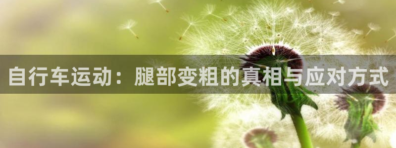 尊龙d88|自行车运动:腿部变粗的真相与应对方式(图1) 尊龙d88