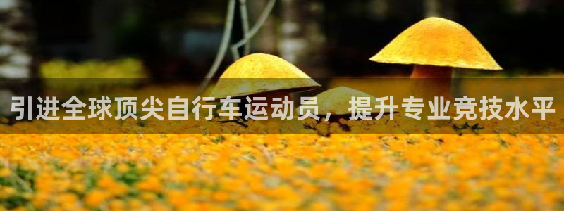 尊龙凯时人生就是博·(中国)官网|引进全球顶尖自行车运动员,提升专业竞技水平(图1) 尊龙凯时人生就是博·(中国)官网