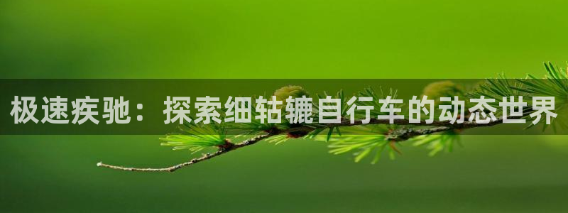 尊龙凯时ag|极速疾驰:探索细轱辘自行车的动态世界(图1) 尊龙凯时ag