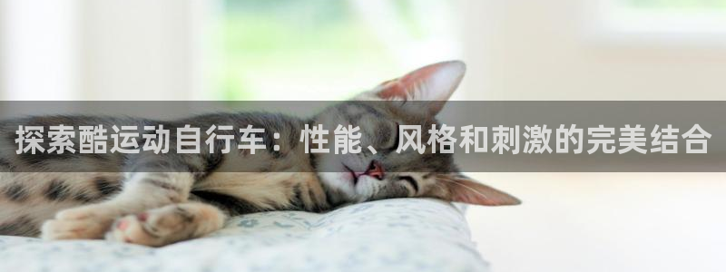 尊龙凯时人生就是博首页|探索酷运动自行车:性能、风格和刺激的完美结合(图1) 尊龙凯时人生就是博首页
