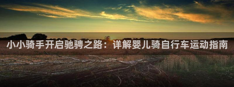 尊龙凯时中国官网|小小骑手开启驰骋之路:详解婴儿骑自行车运动指南(图1) 尊龙凯时中国官网