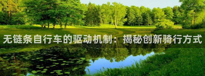 尊龙凯时 -人生就是博!|无链条自行车的驱动机制:揭秘创新骑行方式(图1) 尊龙凯时 -人生就是博!