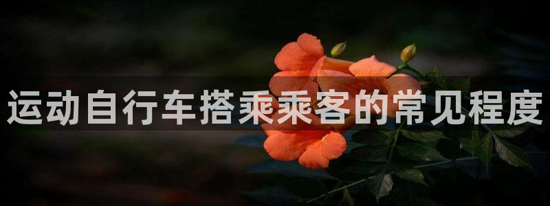 尊龙凯时人生|运动自行车搭乘乘客的常见程度(图1) 尊龙凯时人生