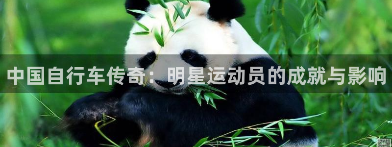 ag尊龙凯时人生就是博|中国自行车传奇:明星运动员的成就与影响(图1) ag尊龙凯时人生就是博