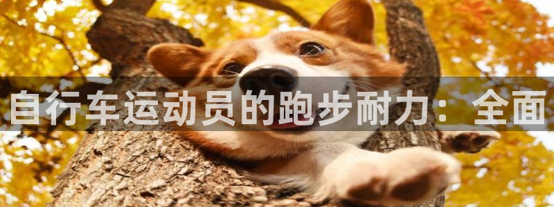 尊龙凯时官网网址|自行车运动员的跑步耐力:全面(图1) 尊龙凯时官网网址