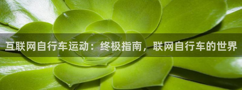 尊龙凯时 -人生就是博!|互联网自行车运动:终极指南,联网自行车的世界(图1) 尊龙凯时 -人生就是博!