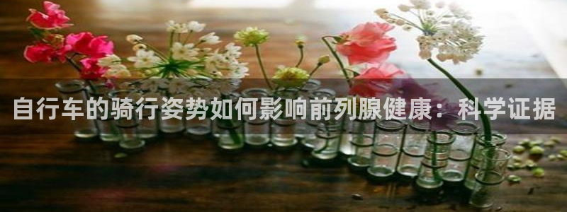 凯时尊龙最新网站|自行车的骑行姿势如何影响前列腺健康:科学证据(图1) 凯时尊龙最新网站