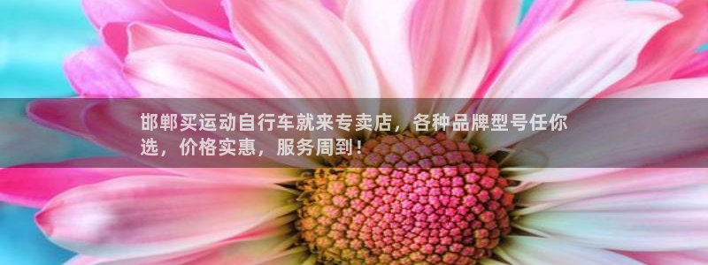 尊龙凯时ag|邯郸买运动自行车就来专卖店,各种品牌型号任你
选,价格实惠,服务周到!(图1) 尊龙凯时ag