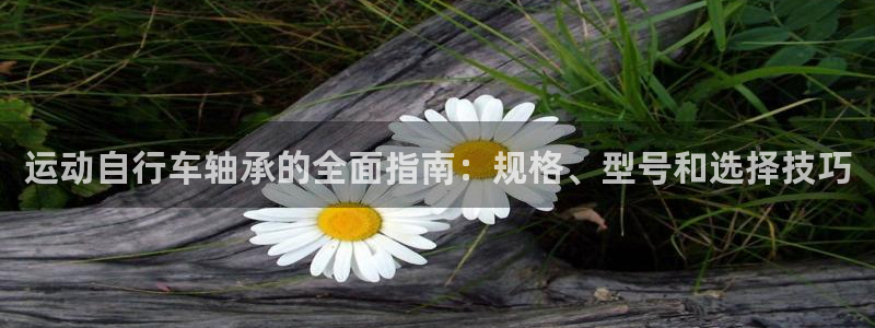 运动自行车轴承的全面指南:规格、型号和选择技巧(图1) 运动自行车轴承的全面指南:规格、型号和选择技巧(图1)