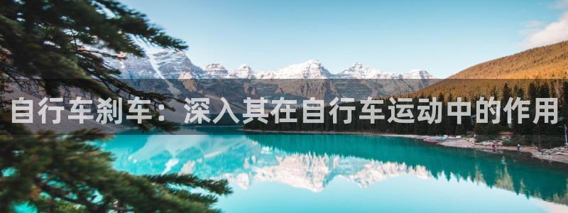 尊龙凯时人生就是博平台网站|自行车刹车:深入其在自行车运动中的作用(图1) 尊龙凯时人生就是博平台网站