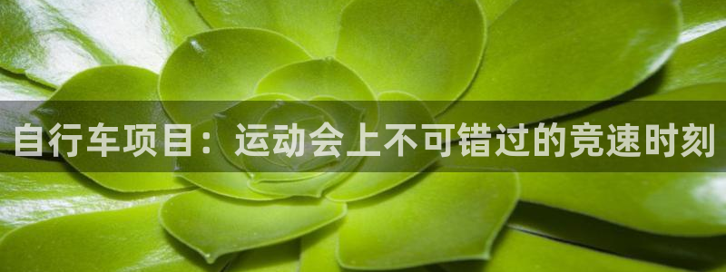 尊龙凯时是正规平台吗|自行车项目:运动会上不可错过的竞速时刻(图1) 尊龙凯时是正规平台吗